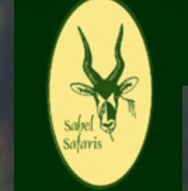 Sahel safari