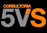 Consultoría 5VS