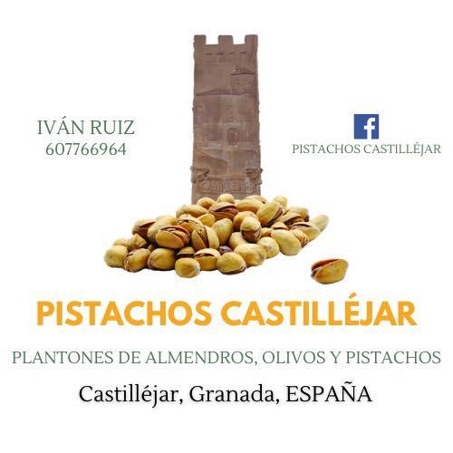 Pistachos Castillejar