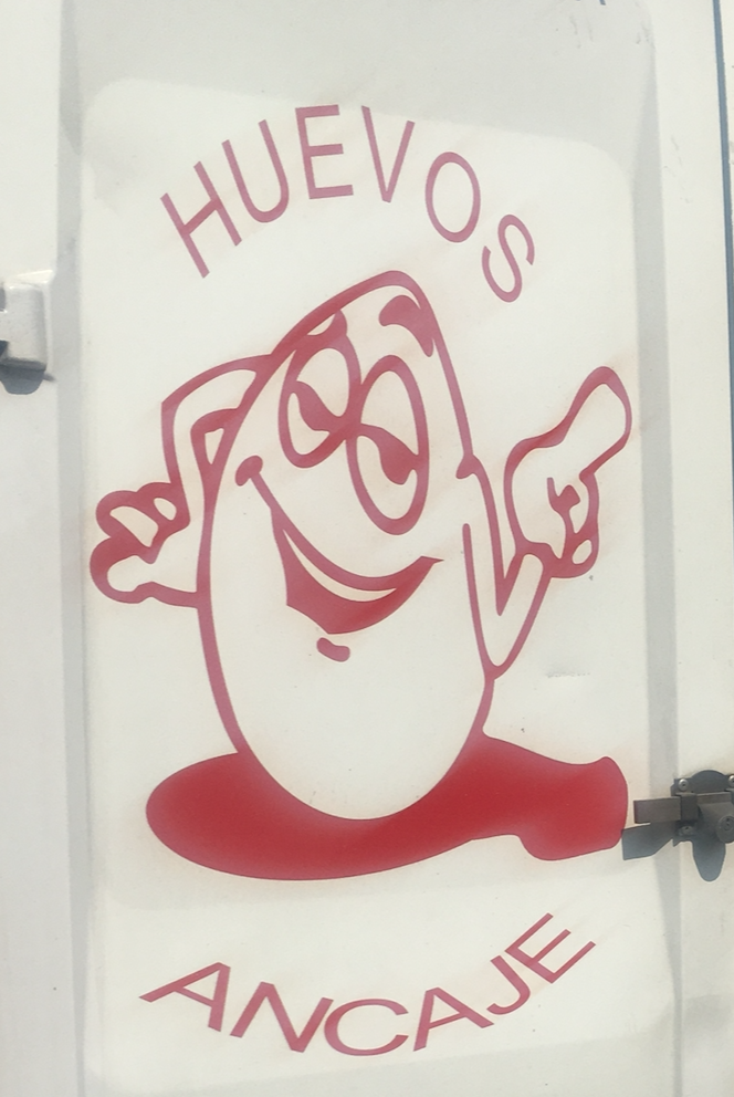 Huevos Ancaje - Huevos Frescos