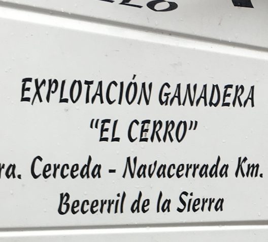 Leña el cerro