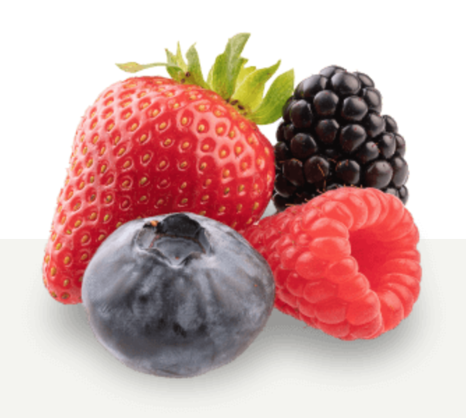 Masia Ciscar - Productores Arándanos