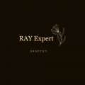 Ray Expert