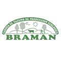 Carne Braman - Segovia