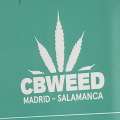 Cb Weed - Madrid - Cbd