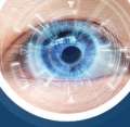 Euro Optometry And Vision Science