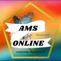 Ams Online
