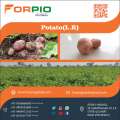 Forpio Export