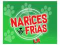 Narices Frias L.r