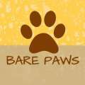 Bare Paws - Dog Walker