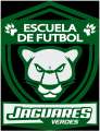 Escuela De Fútbol Jaguares Verdes