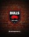 Bulls Beer House