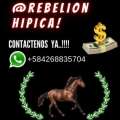 Rebelion Hipica